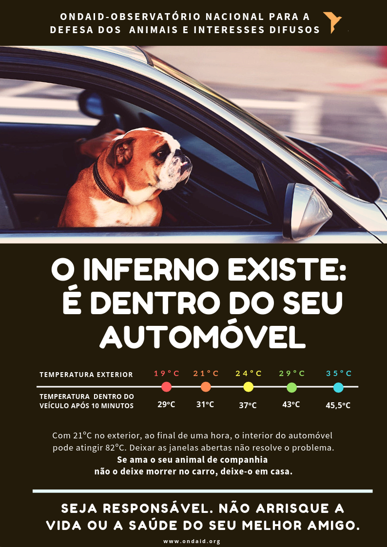 Imagem ONDAID - Observatório Nacional para a Defesa dos Animais e interesses difusos
